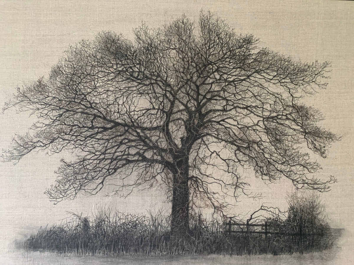 SOLD - Strong and Silent