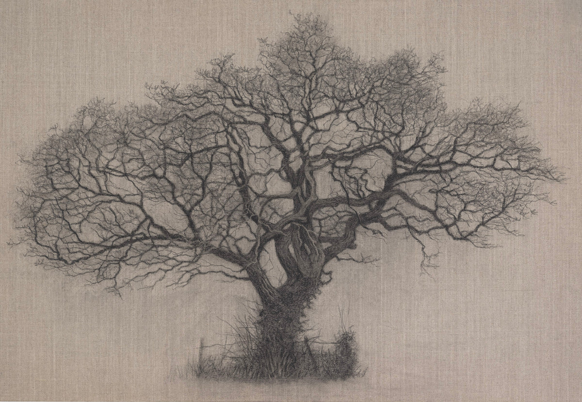 Tale of Winter Beauty