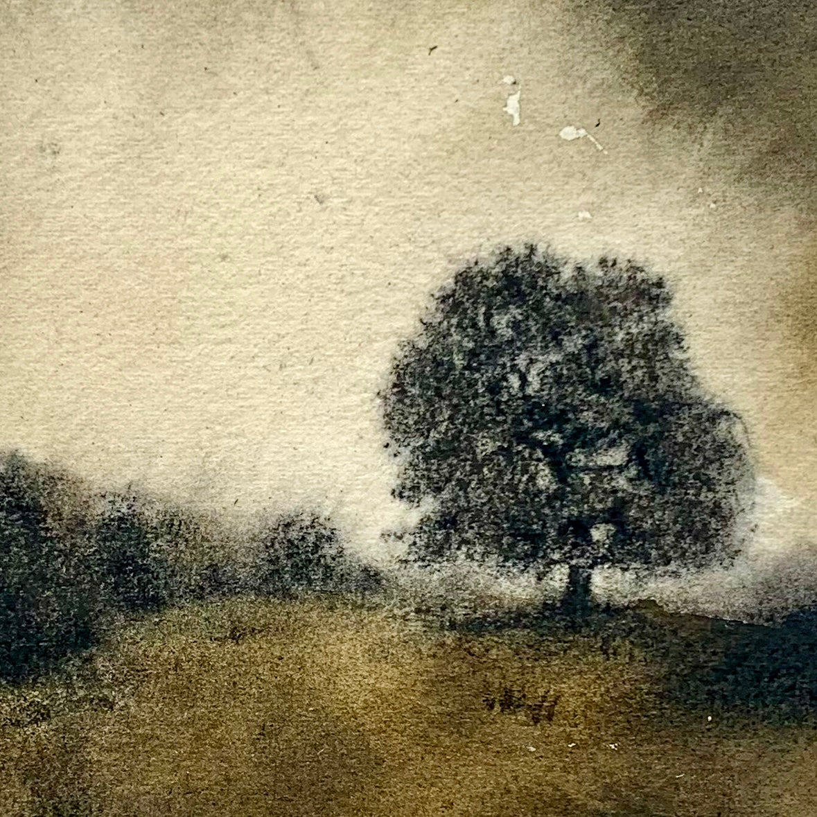 SOLD - The Tree On The Hill