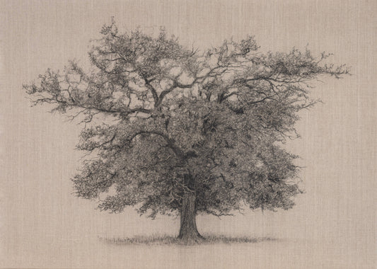 Branches of Tranquility - Limited Edition Giclée Print