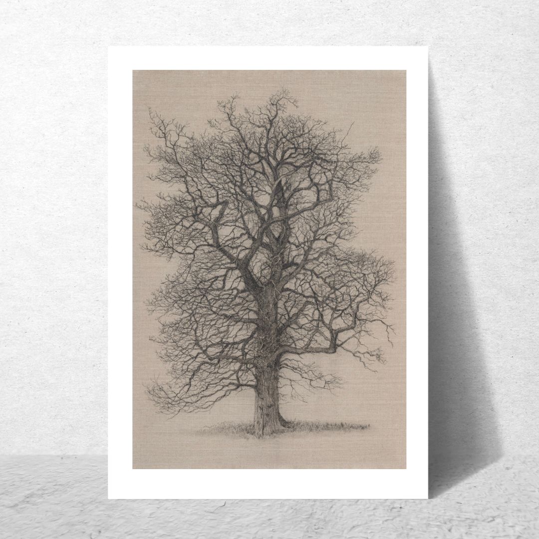 In The Quiet of Winter