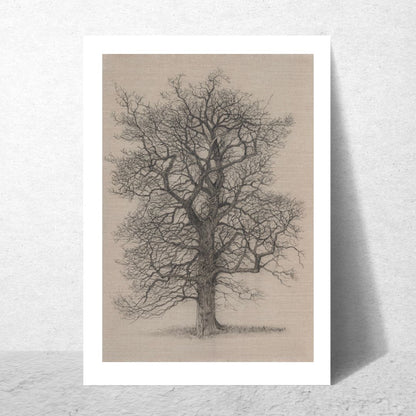 In The Quiet of Winter