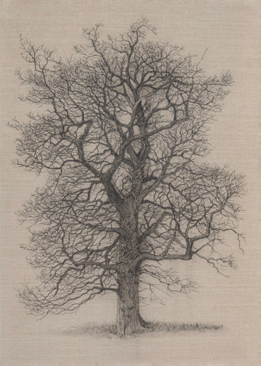 In The Quiet of Winter - Limited Edition Giclée Print