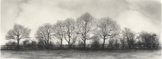 Long Winter - Panoramic Large 75cm long