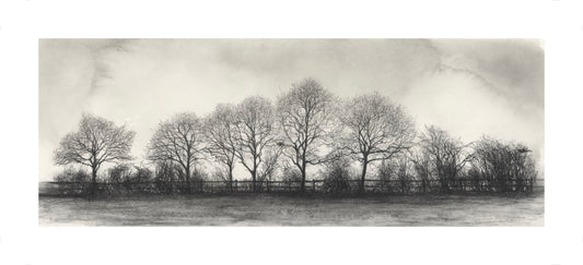 Long Winter - Panoramic Large 75cm long