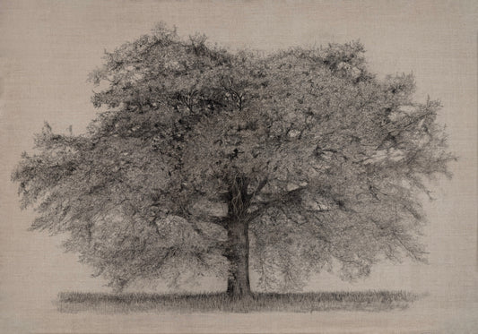 Natural Beauty - Limited Edition Giclée Print
