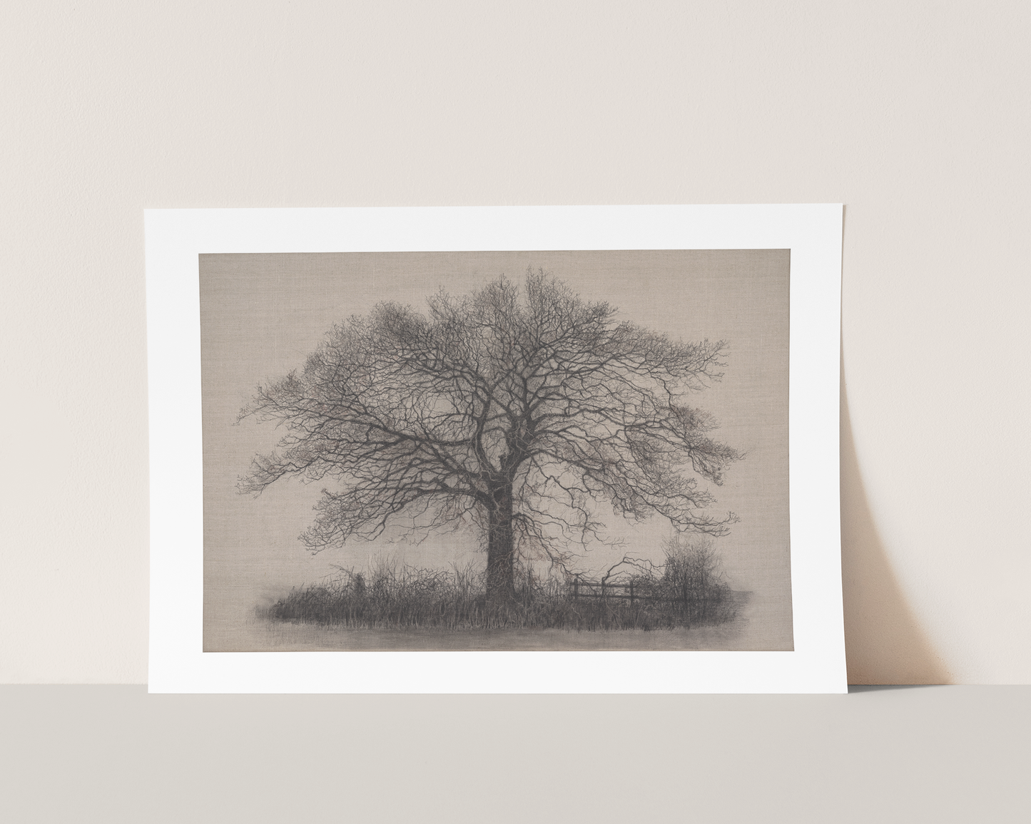 Strong and Silent -Limited Edition Giclée Print