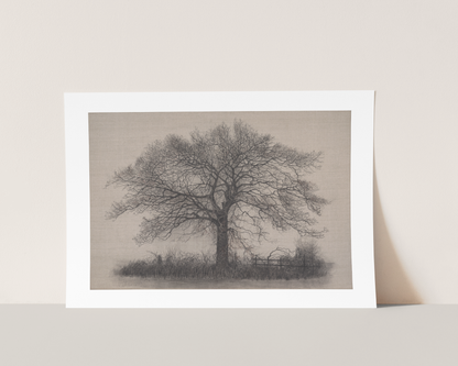 Strong and Silent -Limited Edition Giclée Print